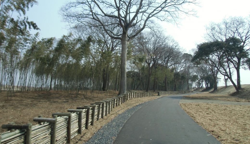 びわこ地球市民の森