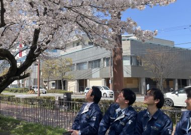 本社近くの桜、今が見頃です☆☆